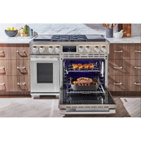 Signature Kitchen Suite-Stainless Steel-Dual Fuel-SKSDR480SIS