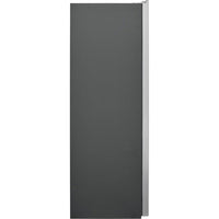 Frigidaire Professional Upright FPFU19F8WF