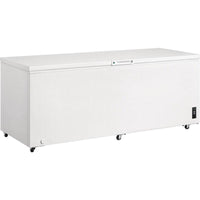 Frigidaire Chest FFCL2542AW