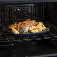 GE Profile Single Oven PTS7000SNSS