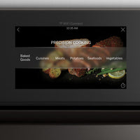 GE Profile Single Oven PTS7000SNSS