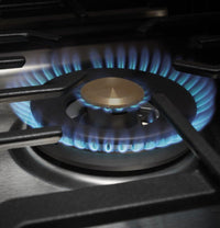 Monogram Gas ZGU36RSLSS