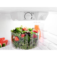 Amana Top Freezer ART104TFDW
