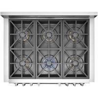 Fulgor Milano-Stainless Steel-Dual Fuel-F6PDF366S1