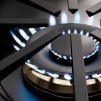 Fulgor Milano-Stainless Steel-Dual Fuel-F6PDF366S1