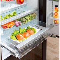 Thermador Bottom Freezer T30IB900SP