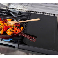 Signature Kitchen Suite Dual Fuel SKSDR480SIS