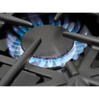 BlueStar Gas RCS48SBV2