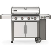 Weber-62006001