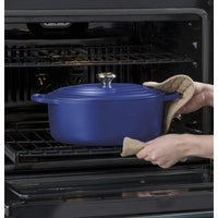 GE Profile Single Oven PTS7000SNSS