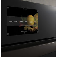 GE Profile Single Oven PTS7000SNSS