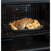 GE Profile Single Oven PTS7000SNSS