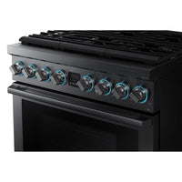 Samsung Dual Fuel NY36R9966PM/AA