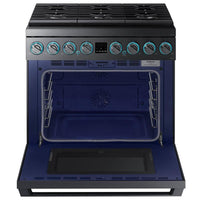 Samsung Dual Fuel NY36R9966PM/AA