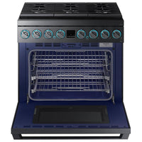Samsung Dual Fuel NY36R9966PM/AA