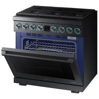 Samsung Dual Fuel NY36R9966PM/AA