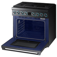 Samsung Dual Fuel NY36R9966PM/AA