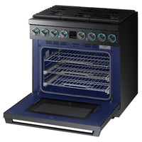 Samsung Dual Fuel NY36R9966PM/AA