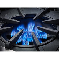BlueStar Gas BSP488B