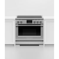 Fisher & Paykel-Stainless Steel-Electric-RIV3-365