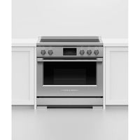 Fisher & Paykel Electric RIV3-365