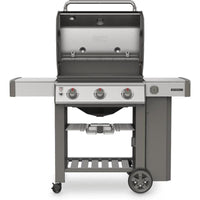 Weber Gas Grills 61011401