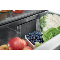 Electrolux-Stainless Steel-All Refrigerator-EI33AR80WS