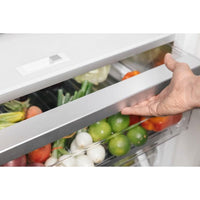 Thermador All Refrigerator T24IR905SP