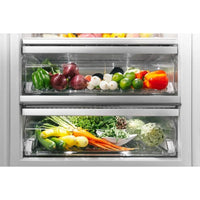 Thermador All Refrigerator T24IR905SP