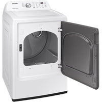 Samsung Electric DVE45T3200W/AC