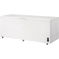 Frigidaire Chest FFCL2542AW