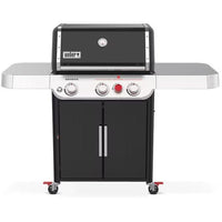 Weber-37310001