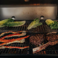 Weber Gas Grills 37310001