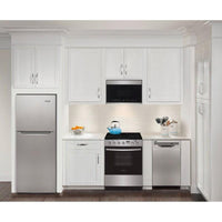 Frigidaire Electric FCFE242CAS