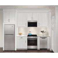 Frigidaire-Stainless Steel-Electric-FCFE242CAS