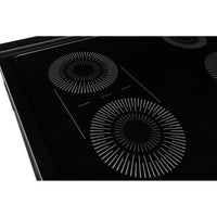 Frigidaire Electric FCFI308CAS