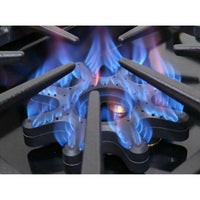 BlueStar Dual Fuel BSDF486GWCPLT