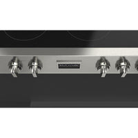 Fulgor Milano Induction F6IRT487S1