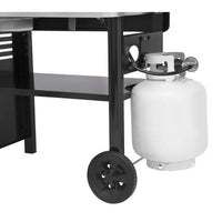 Weber Gas Grills 44310401