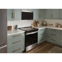 Whirlpool Over-the-Range YWMMF5930PZ