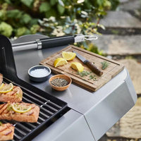 Weber Gas Grills 1500569