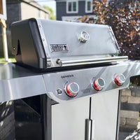 Weber Gas Grills 1500569