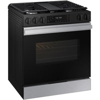 Samsung Electric NSG6DG8300SR/AA