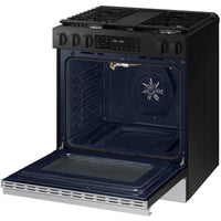 Samsung Electric NSG6DG8300SR/AA