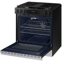 Samsung Electric NSG6DG8300SR/AA