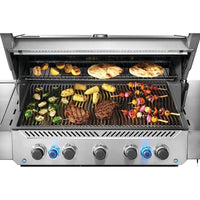 Napoleon Gas Grills P665VRSIBNSS
