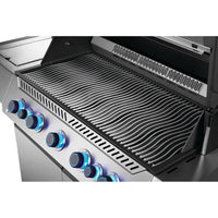 Napoleon Gas Grills P665VRSIBNSS