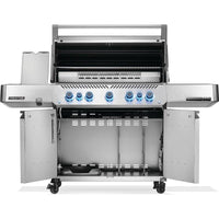 Napoleon Gas Grills P665VRSIBNSS