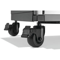 Napoleon Gas Grills P665VRSIBNSS