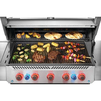 Napoleon Gas Grills P665VRSIBNSS